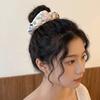 Satin Floral Scrunchies Colorful Hair Ropes Luxury Embroidery Hair Scrunchies  Girls