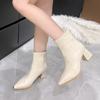 2026  Autumn Winter Fashion Pointed Toe Ankle Boots Women Zippers Thick Heels Shoes Street Style Banquet Party Short Botas Mujer