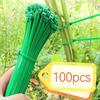 100 Stück Strapazierfähiges Pflanzen-Grün-Stütz-Befestigungskabel, Geeignet für Topfpflanzen und Gartengestaltung