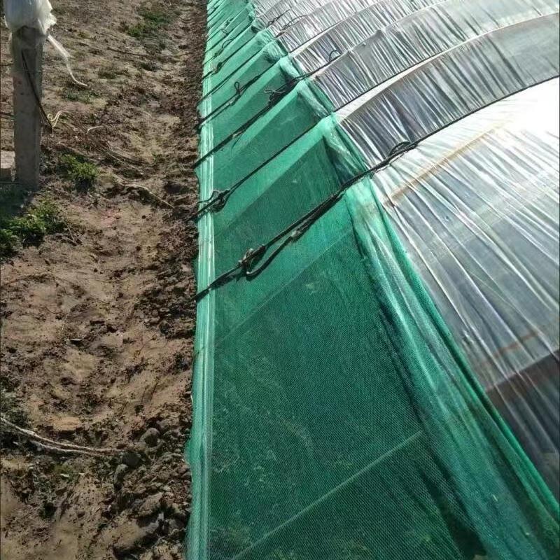 OIMG Thickened Plastic Poultry & Orchard Protection Net