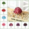2pcs Colorful Fake Plant Plastics Artificial Flower Artistic Echeveria Chihuahuaensis  Home Decor