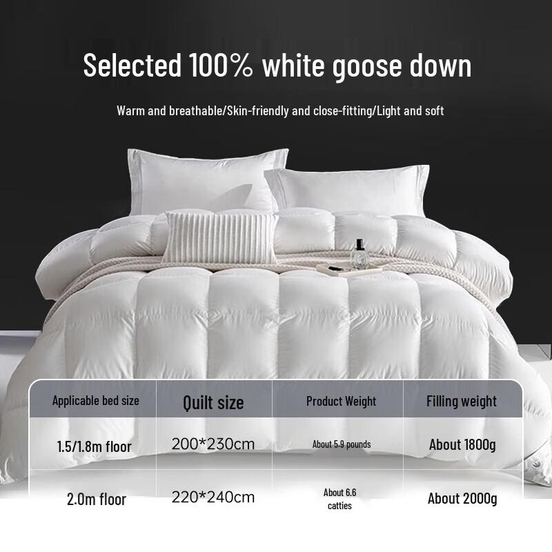 Muji White Goose Feather Duvet Insert