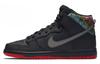 SPoT X SB Dunk High Pro Gasparilla 313171-028