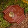 Anti-Slip Tortoise Water Dish Plastic Reptile Pool Dish Turtle Feeding Dish  Terrarium Setup