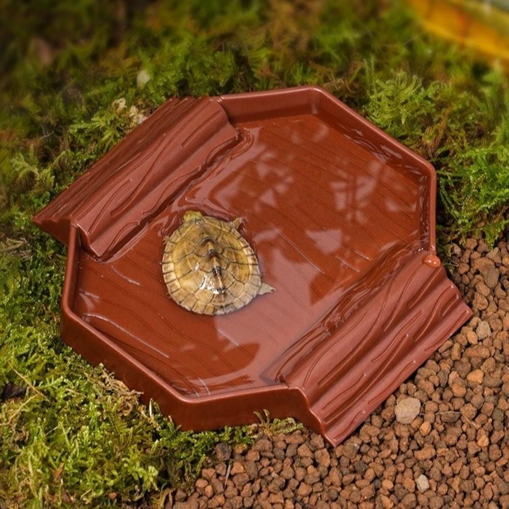Anti-Slip Tortoise Water Dish Plastic Reptile Pool Dish Turtle Feeding Dish  Terrarium Setup