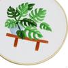of Embroidery Kit with Pattern stitch for Home DIY Craft Hoop Diameter