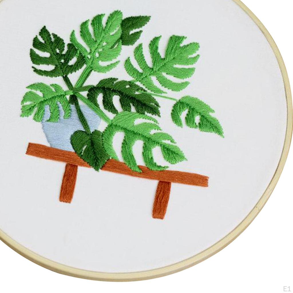 of Embroidery Kit with Pattern stitch for Home DIY Craft Hoop Diameter