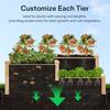 3-Tier 3-Grid Wooden Raised Garden Bed 42.5 X 34.5 X 15 Inches Outdoor Elevated Wood Planter Box with Screwdriver for Gardens P