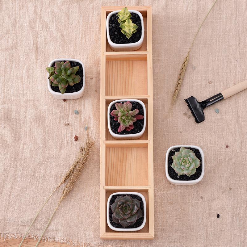 Set of 5 Ceramic Succulent Pots – Mini Flower Planters with Bamboo Tray for Home & Office Decor