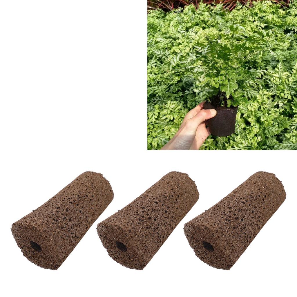 50 Stück Anzuchtblock Torf Pflanzblock für Gartenbau Hydroponik Erdelose Kultur Pflanzen Keimung