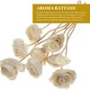 Angoily 10PCS Rattan Diffuser Sticks for Oil Aroma Diffuser Replacement, Flower Reed Diffuser Sticks (White 2)