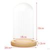 Cloche Tabletop Display Case Jar with Wooden Diy Craft Making Supplies