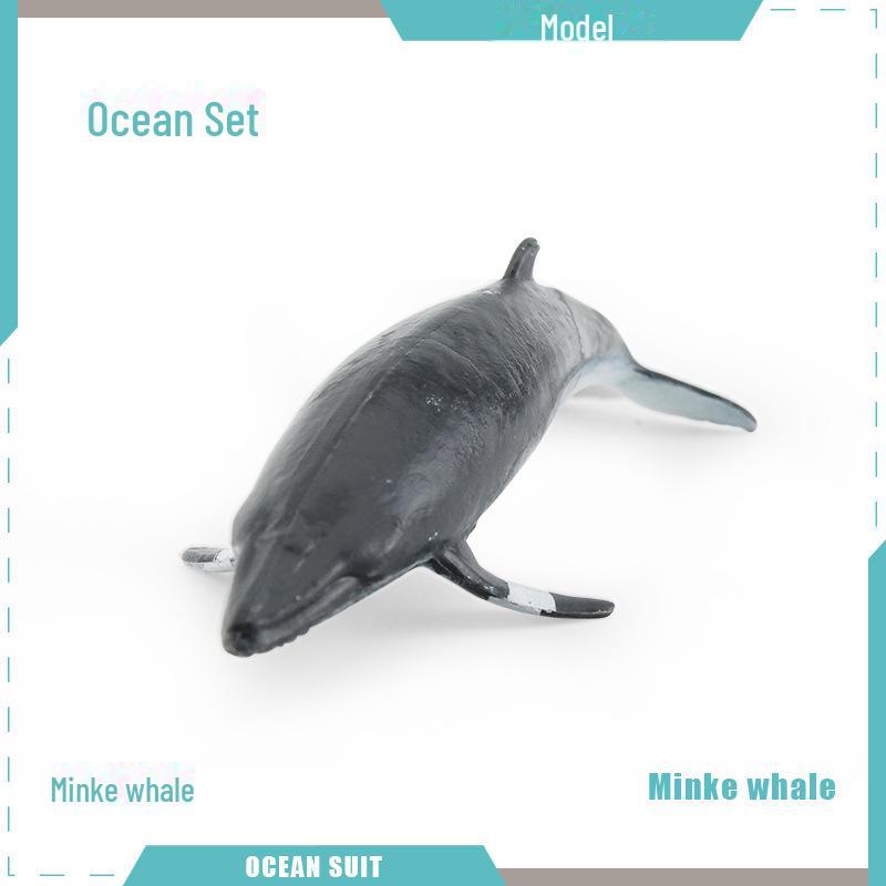 Marine Animal Model Set: Shark, Turtle, Dolphin, Whale, Penguin, Crab, and Seabed Creatures