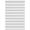 VidaXL Store Zebra Light Grey Fabric Width 90.9 Cm Polyester, Zebra Roller Blind, Zebra Blind for Window, Blind 4014442