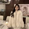 Autumn and Winter Environmentally Friendly Fur Coat Imitation Fox Hair Millennials Socialites Young Warm Thickened Loose Lapel Coat