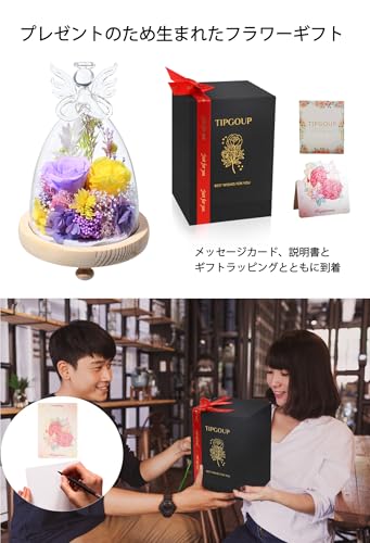 Preserved Flowers, Birthday Gift for Women, Large Angel Glass Dome, Never-Dying Purple-Yellow Roses, Popular Gift for White Day, Respect for the Aged