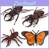 Butterfly Life Cycle Model Pvc Educational Toy For Science Learning