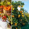 Lemon Picker For Tree Telescoping Fruit Picker Pole Stainless Steel Adjustable Grabber Reacher Tool For Acorn Lemon Pear Mango