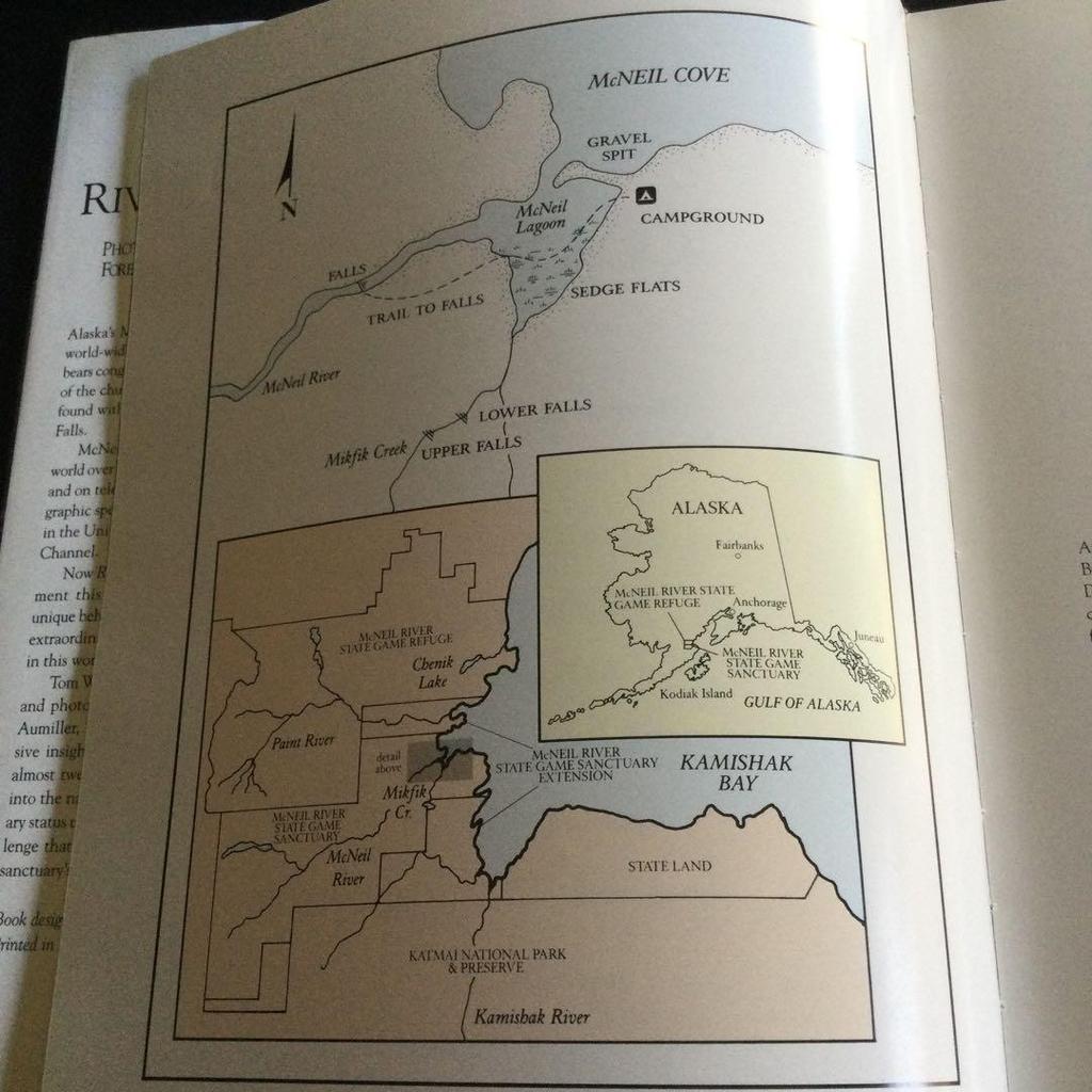 [USED] Bear Photo Collection America Alaska Bear Bear Foreign Books Animals English River