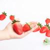 siawadeky 18-Piece Plastic Artificial Strawberry Sample Set, Food Model, Realistic Fake Strawberry Model for Photography Props, Display, Room Decor,
