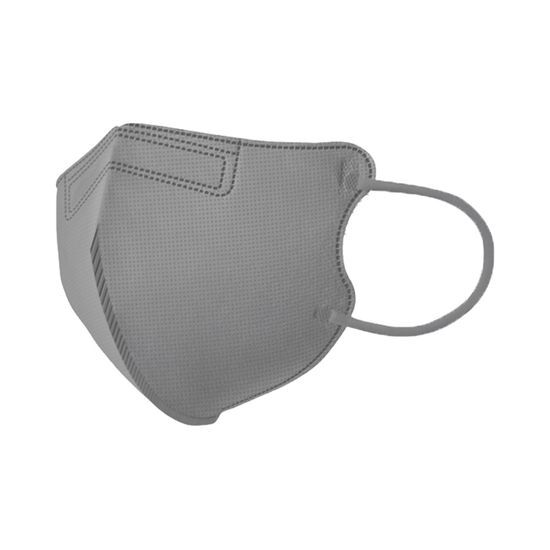 ANYGUARD The Solution Mask KF94 Bird Beak Large 10-Piece Gray