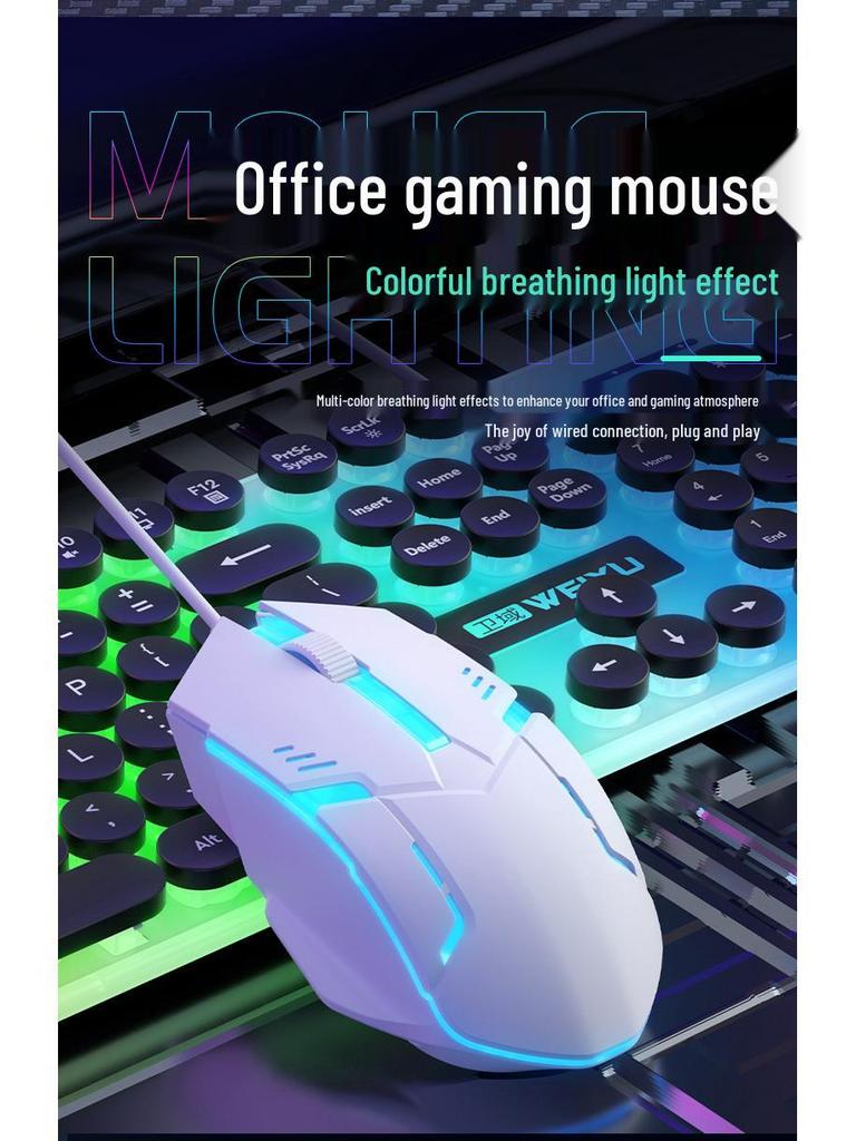 Luminous Punk Keycaps Wired Keyboard & Mouse Set for Gaming