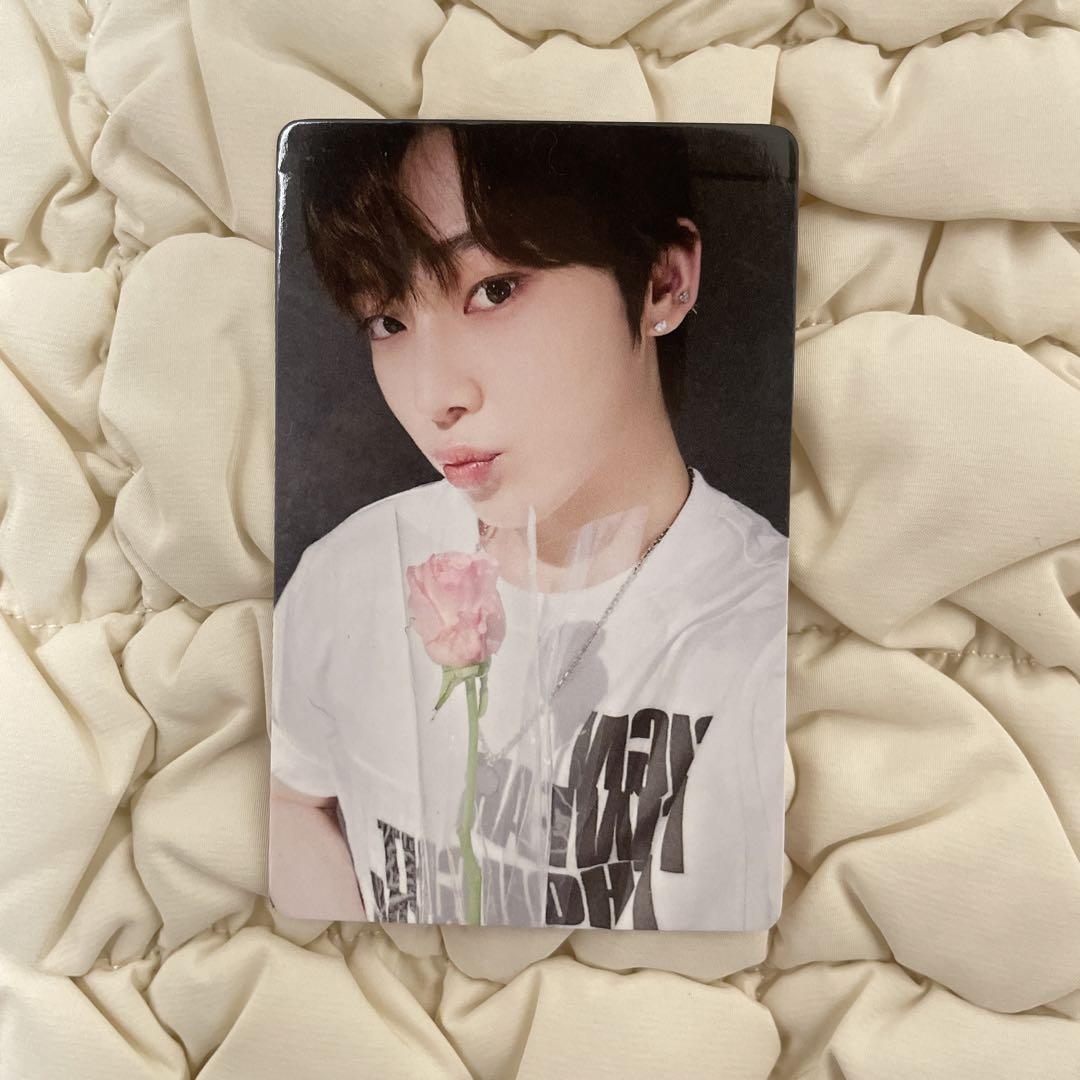 

[USED] ENHYPEN DARKBLOOD One Line Entertainment Rakidro Sonoo