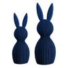 3D Nordic Style Easter Rabbit Figurines Set of 2 Plastic For home Decor Ornament 11cm 16cm Size White Pink Black Blue