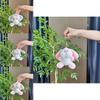 Adorable Cartoon Plush Rabbit Keychain Charming Backpack Pendant For Creative Accessories