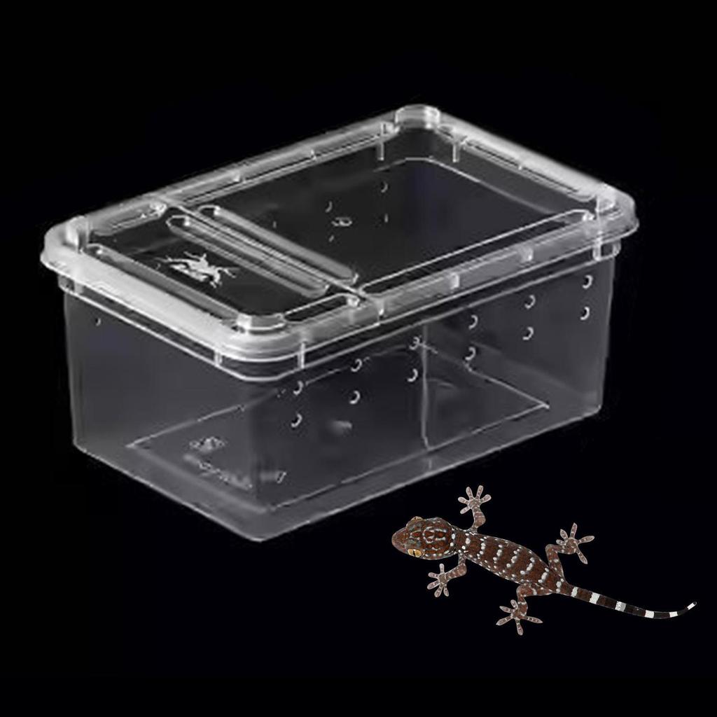 Reptile Feeding Box Breeding Critter Hatching Container Clear Terrarium Habitat Cage for Animal