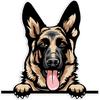 German Shepherd Sticker 6x5.92 Inch - Smiling Dog Breed Bumper Sticker Does Not Fade for Car Truck Trailer SUV Van Outdoor Wall Window Laptop Tablet