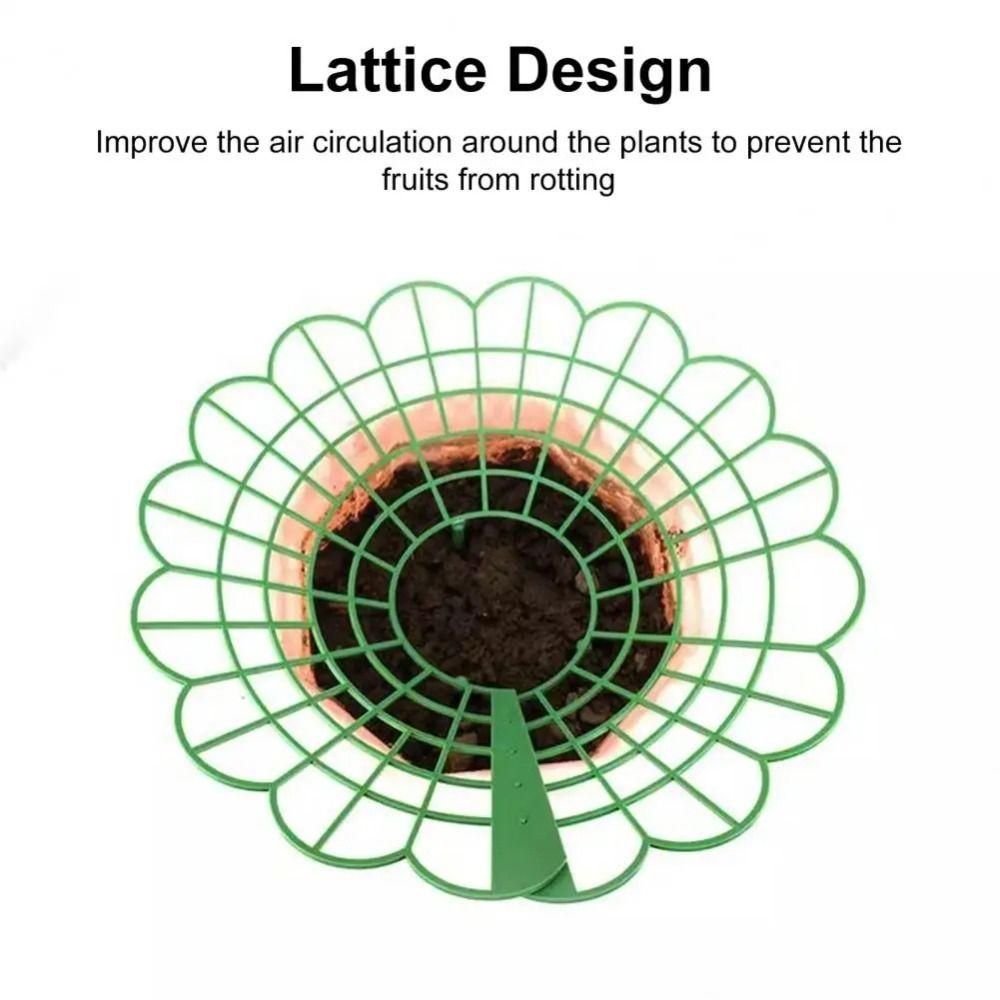 1/3Pcs Anti-ground Strawberry Stand  for Protecting Strawberries from Mold Rot and Dirt