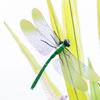5pcs Garden Dragonfly Decor Model Props Home Backyard Adornment Lawn Sculpture Adorn Ulation Insects Stake Decoration