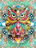 5d Diamond Painting New Owl Cartoon Full Square/round Embroidery Colorful Bird Animal Mosaic Home Decor