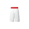 Nike Men Printed Logo Elastic Waist Casual Shorts DQ1169-100