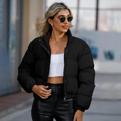 2024 Autumn Winter Women's Padded Jacket Short Cotton Jacket Women's Long Sleeved High Neck Warm Jacket Female Casual Parkas