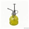 Retro Embossed Glass Spray Bottle – Small Pressure Watering Can for Garden & Home Flowers
