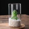 1 Stück Transparente Vasen Pflanzenflasche Blumentopf Hydroponisches Terrarium Arrangementbehälter Ökologische Flasche Heim Hochzeitsdekorationen