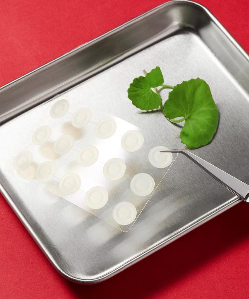 Dermafirm Cica AC Spot Patch (99 patches)