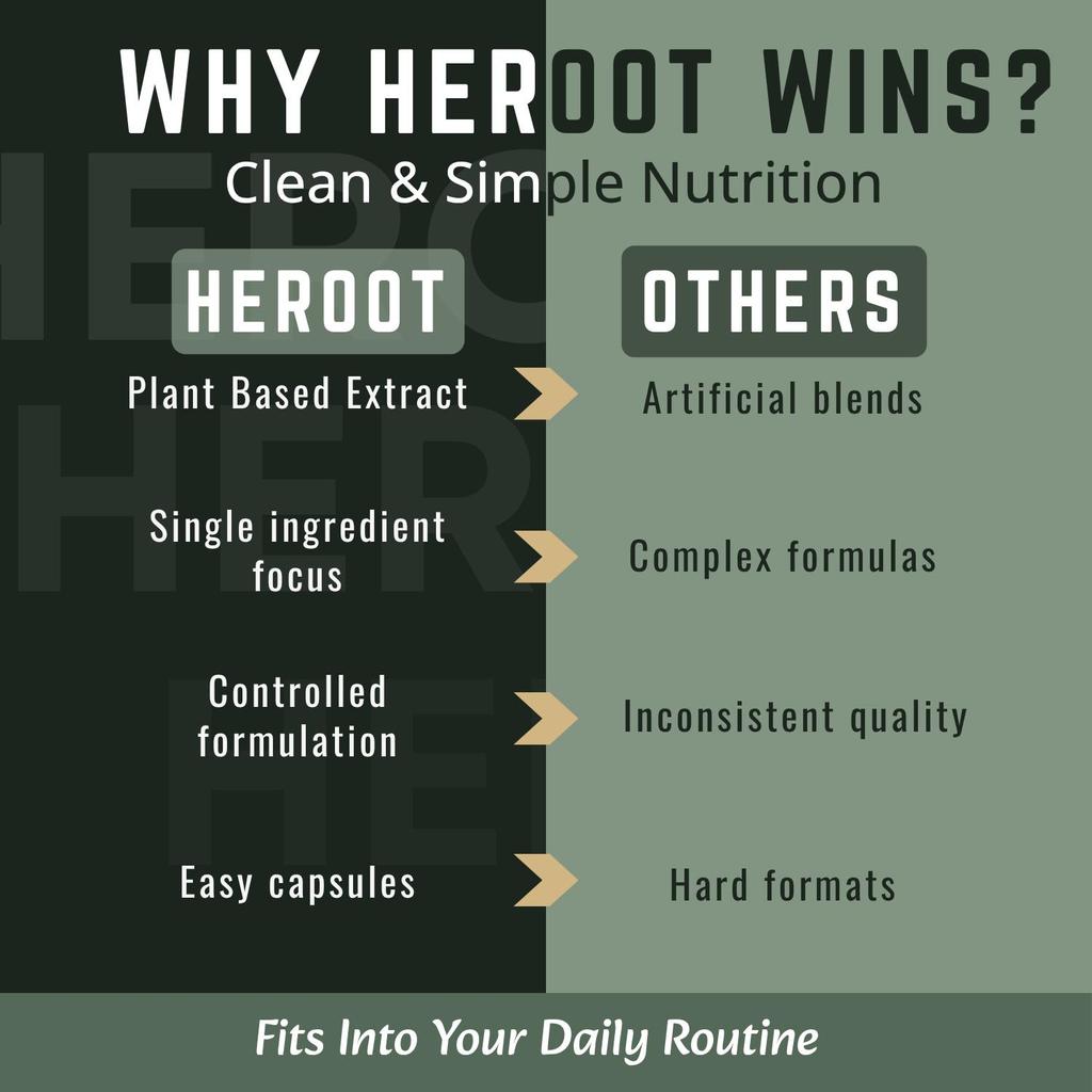 Amla (Indian Gooseberry) Extract Capsules | 500 Mg | 60 Count