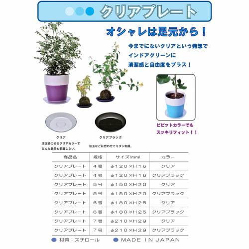 Yamato Plastic Clear Plate, No. 7, Clear