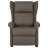VidaXL Fauteuil Inclinable, Siège avec Accoudoirs et Dossier, Chaise de Relaxation avec Repose-pied, Meuble de Salon, 340953