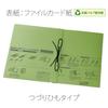 Plus Flat File Expandable Binding String Type Replacement 10 X 10 A4, Spine, Senobas, / Cover, Green, Pieces, FL-023SH, 89-139