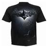 DC Comics Unisex Adult Batman & Joker Back Print T-Shirt