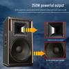 SHILE BX-115 15-inch Professional Multi-Scene Speaker CN Plug (adapter Included)