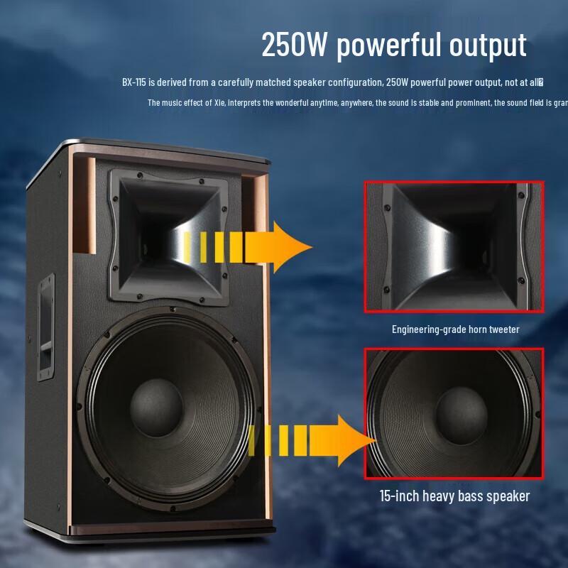 SHILE BX-115 15-inch Professional Multi-Scene Speaker CN Plug (adapter Included)