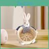 Easter Bunny Storage Adorable Organizer For Home Decor
