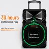 Sanshui SS6-12 Portable KTV & Guitar Trolley Speaker CN plug (adapter included)