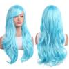 Universal 70cm Long Curly Anime Cosplay Wig - European & American Style