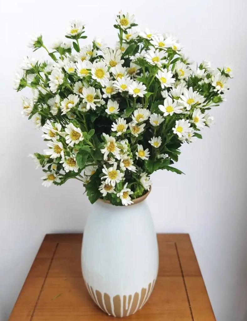 Modern Minimalist Ceramic Vase for Creative Floral Displays